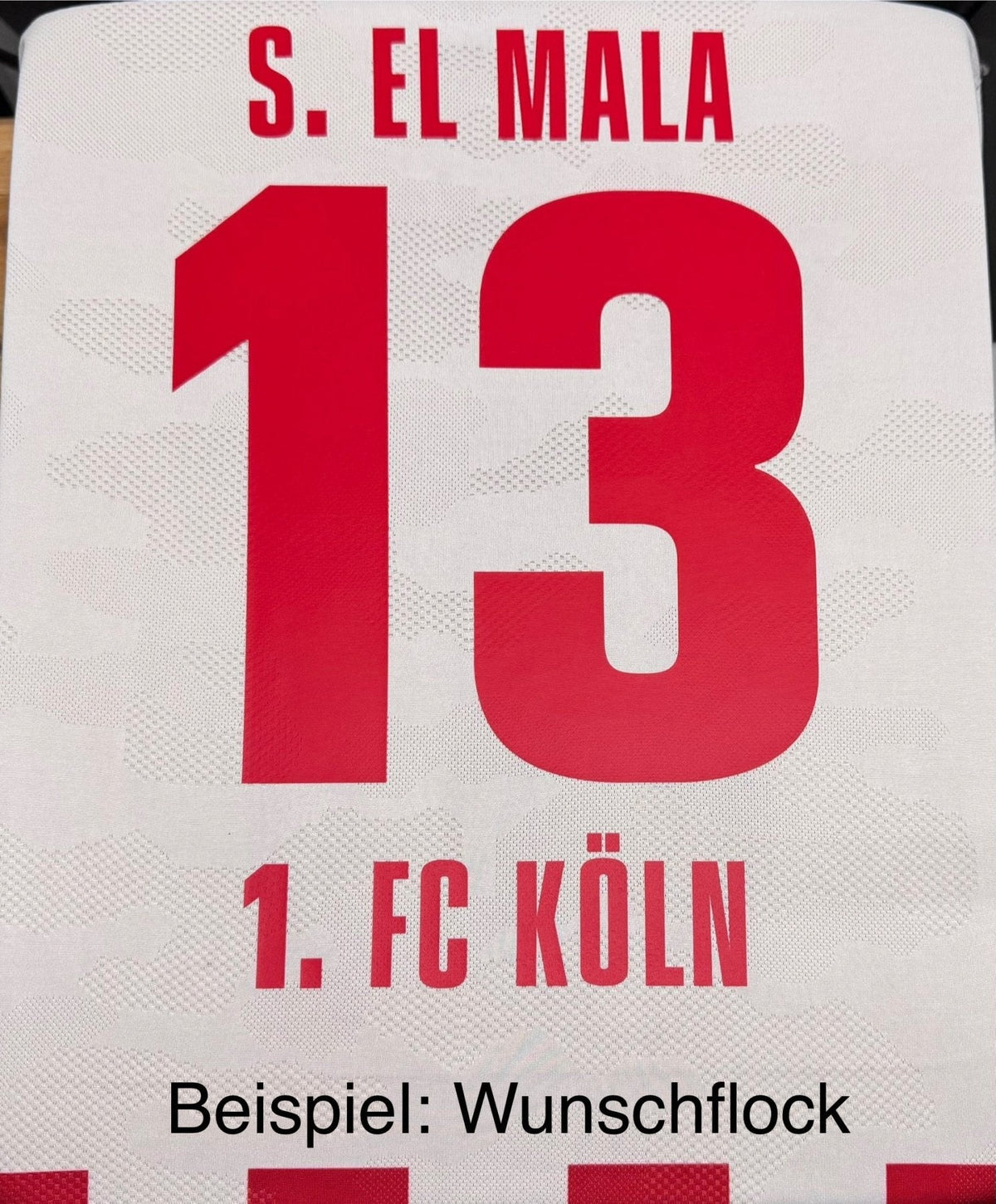 1. FC Köln 2025/26 Home Jersey – Men's Fan Version
