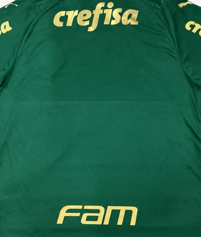 Palmeiras 2024/25 Home Jersey – Fan Version