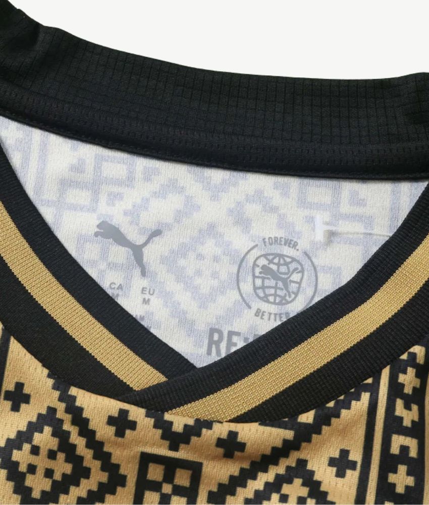 Morocco 2026 Special Edition Jersey – Fan Version