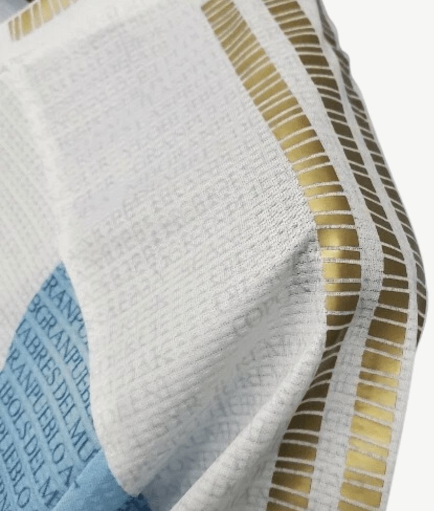 Argentina 2021 Concept Jersey – Fan Version