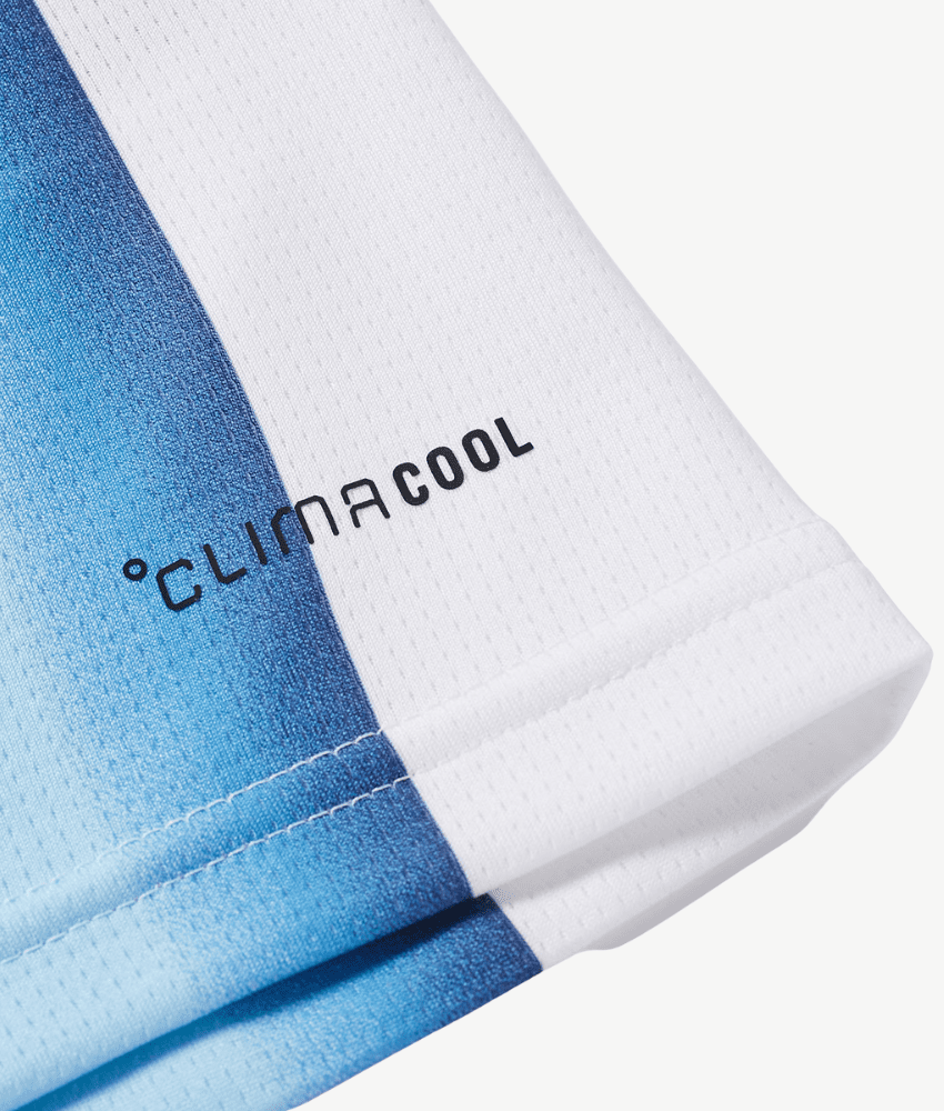 Argentina 2026 World Cup Home Jersey – Fan Version