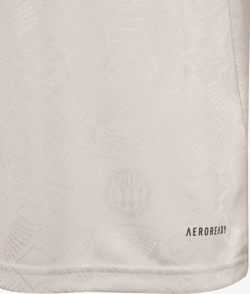 Bayern Munich 2025/26 Commerative Special Edition Jersey – Fan Version