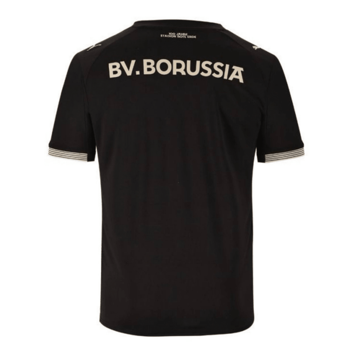 Borussia Dortmund 2025/26 Special Edition Jersey – Men's Fan Version