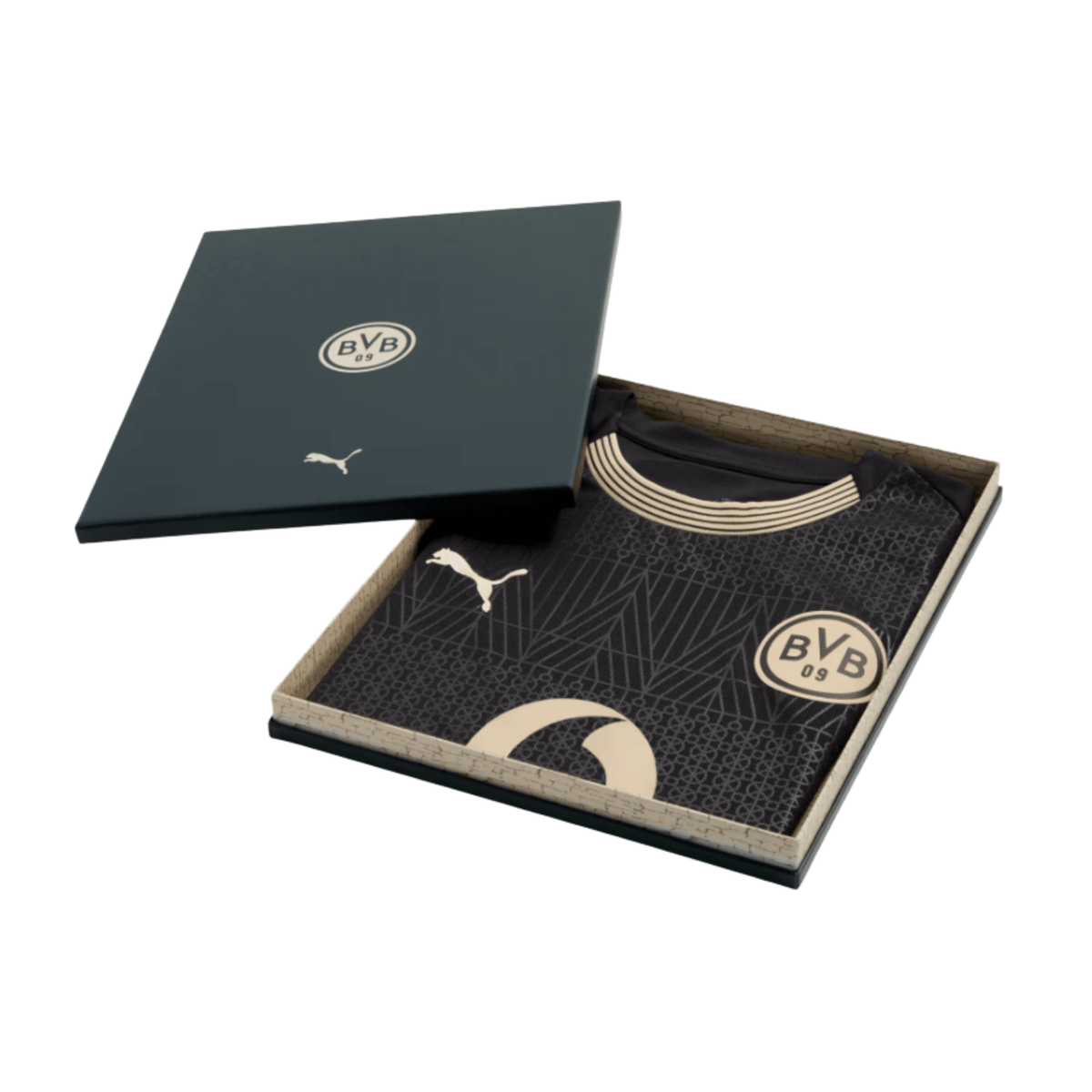 Borussia Dortmund 2025/26 Special Edition Jersey – Men's Fan Version