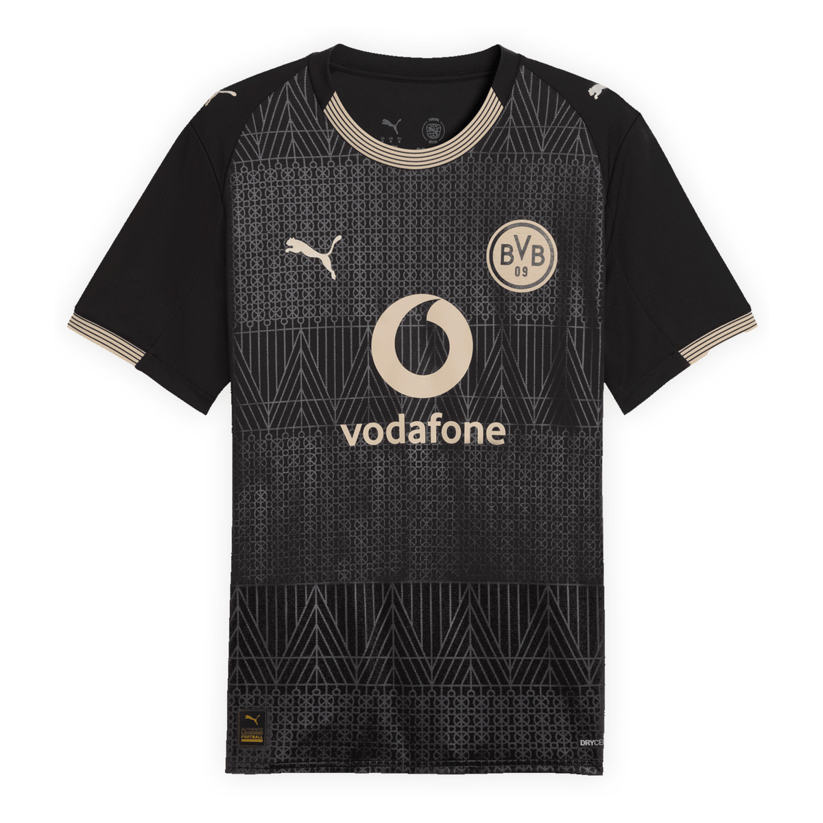 Borussia Dortmund 2025/26 Special Edition Jersey – Men's Fan Version