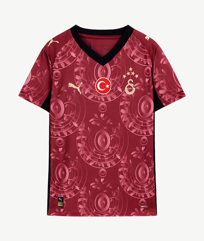 Galatasaray 2025/26 Third Jersey – Fan Version
