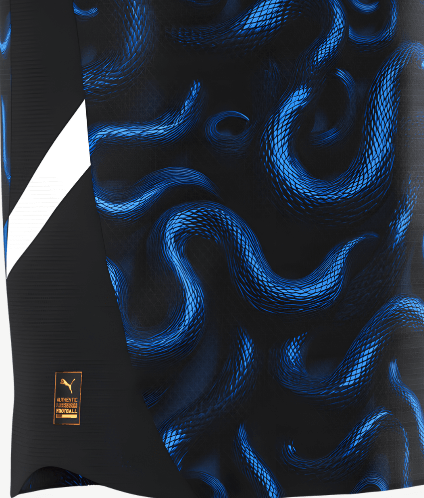 Inter Milan 2025/26 Special Edition Jersey – Fan Version