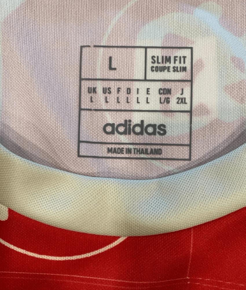Japan 2023 'Tokyo' Special Edition Jersey – Fan Version