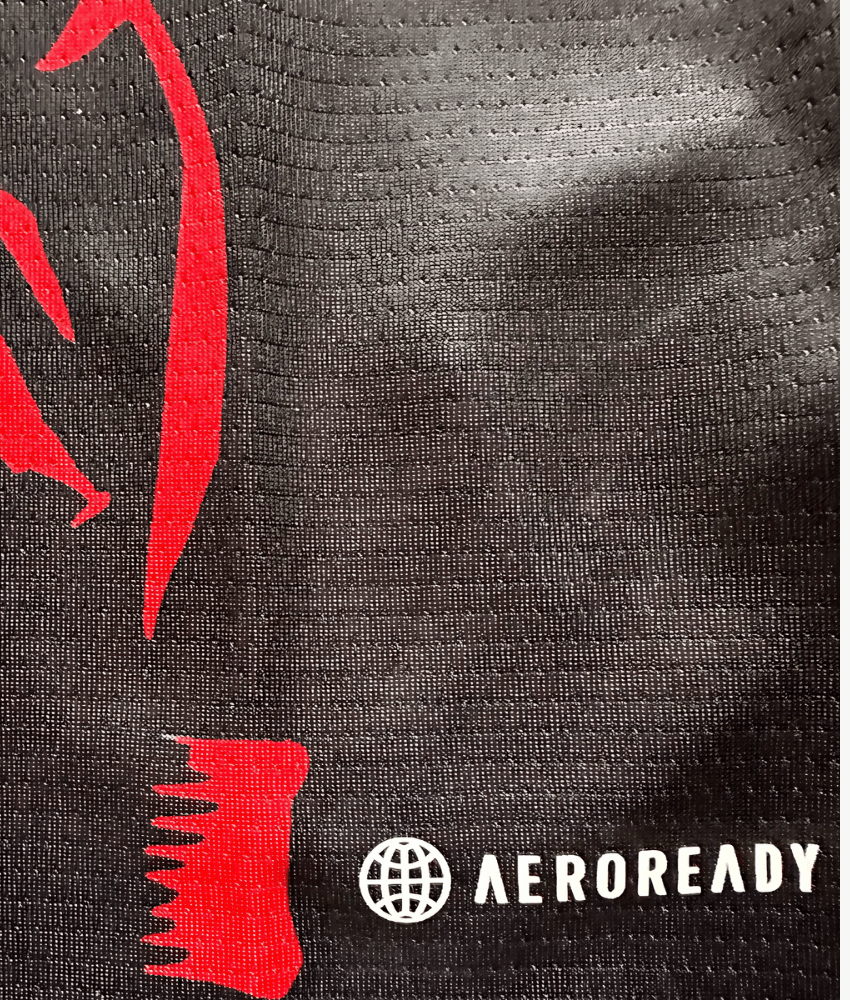 Japan 2024 'Anime Legend Darkness Edition' Jersey – Fan Version