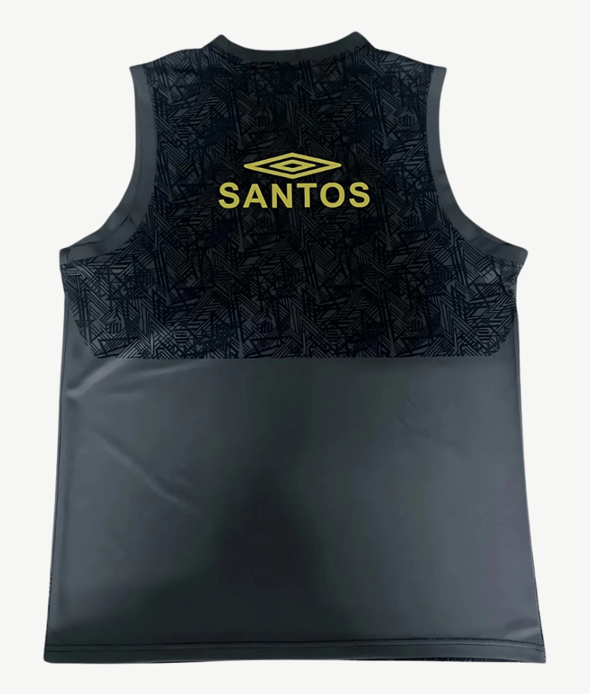 Santos 2024/25 Vest Concept Edition