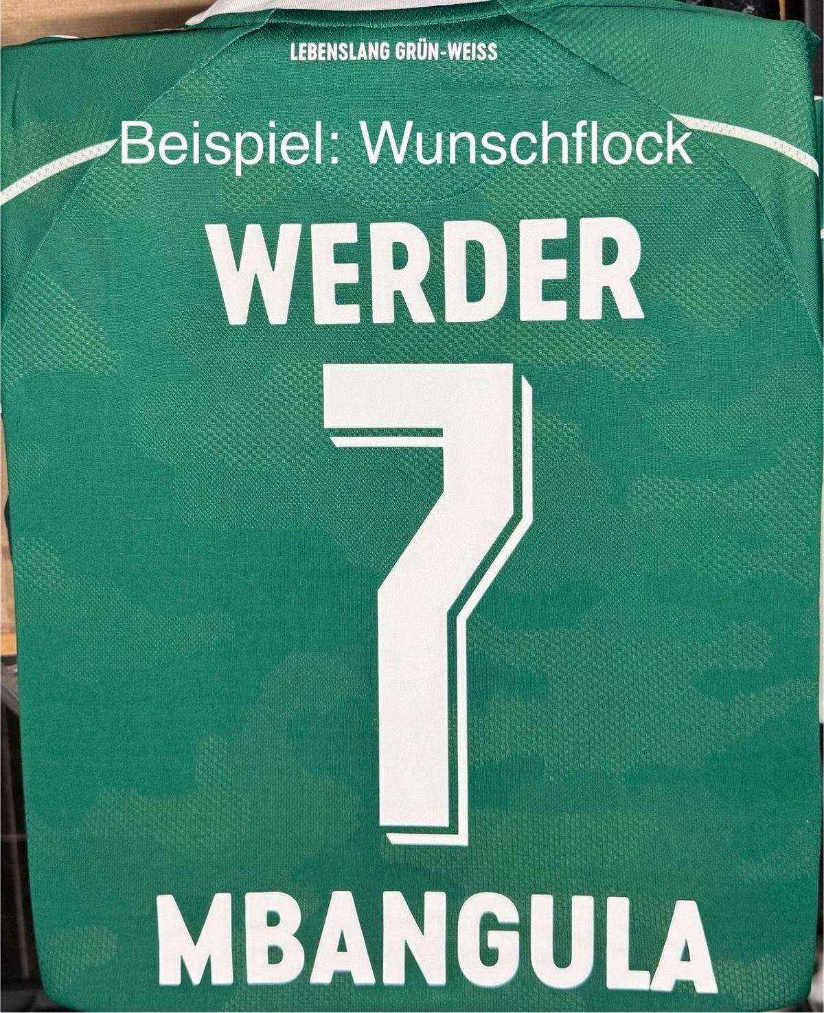 SV Werder Bremen 2025/26 Home Jersey – Men's Fan Version